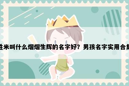 姓米叫什么熠熠生辉的名字好？男孩名字实用合集