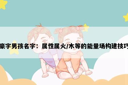 豪字男孩名字：属性属火/木等的能量场构建技巧