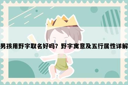 男孩用野字取名好吗？野字寓意及五行属性详解