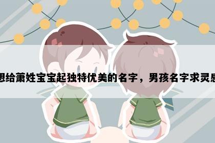 想给萧姓宝宝起独特优美的名字，男孩名字求灵感