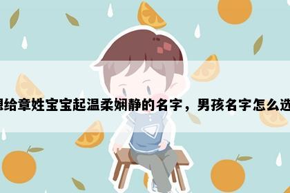 想给章姓宝宝起温柔娴静的名字，男孩名字怎么选？
