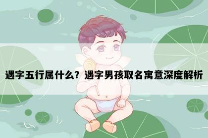 遇字五行属什么？遇字男孩取名寓意深度解析