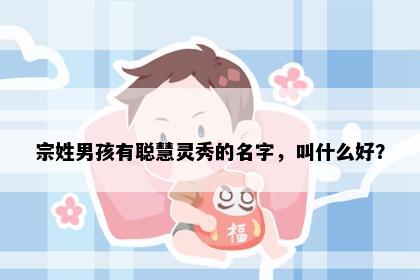 宗姓男孩有聪慧灵秀的名字，叫什么好？