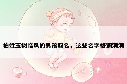 柏姓玉树临风的男孩取名，这些名字格调满满