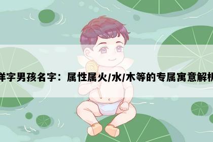 洋字男孩名字：属性属火/水/木等的专属寓意解析