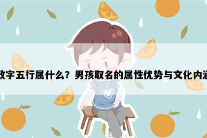 政字五行属什么？男孩取名的属性优势与文化内涵