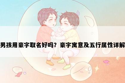 男孩用豪字取名好吗？豪字寓意及五行属性详解