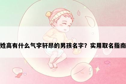 姓高有什么气宇轩昂的男孩名字？实用取名指南