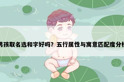 男孩取名选和字好吗？五行属性与寓意匹配度分析