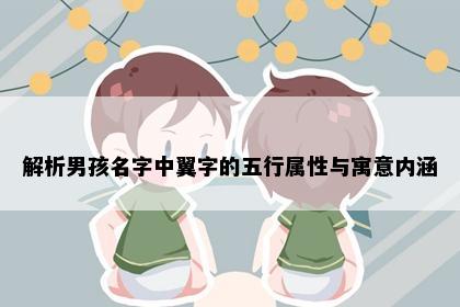 解析男孩名字中翼字的五行属性与寓意内涵