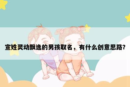 宣姓灵动飘逸的男孩取名，有什么创意思路？