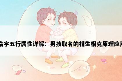 临字五行属性详解：男孩取名的相生相克原理应用