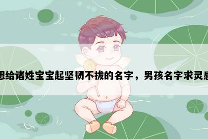 想给诸姓宝宝起坚韧不拔的名字，男孩名字求灵感