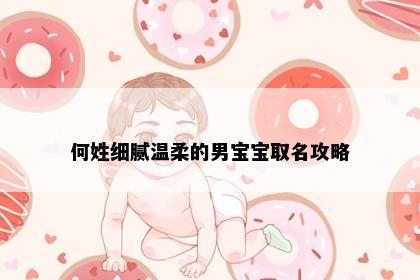 何姓细腻温柔的男宝宝取名攻略