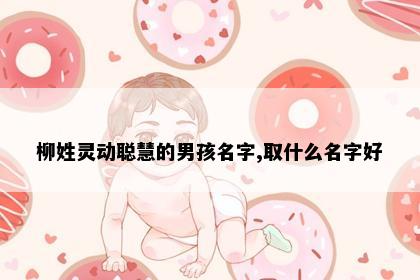 柳姓灵动聪慧的男孩名字,取什么名字好