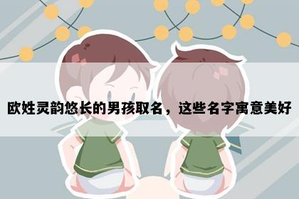 欧姓灵韵悠长的男孩取名，这些名字寓意美好