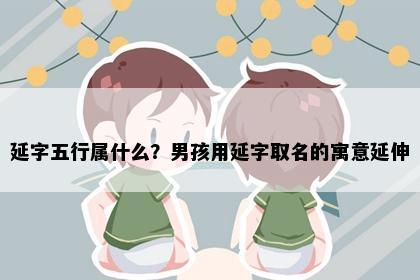 延字五行属什么？男孩用延字取名的寓意延伸