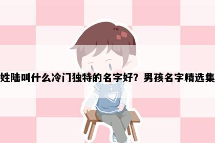 姓陆叫什么冷门独特的名字好？男孩名字精选集