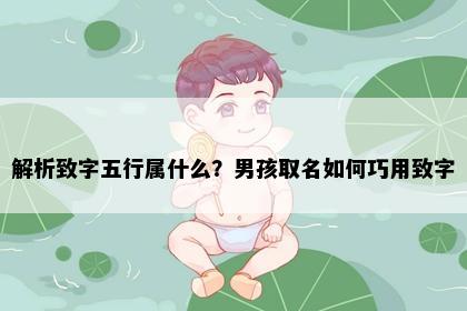 解析致字五行属什么？男孩取名如何巧用致字